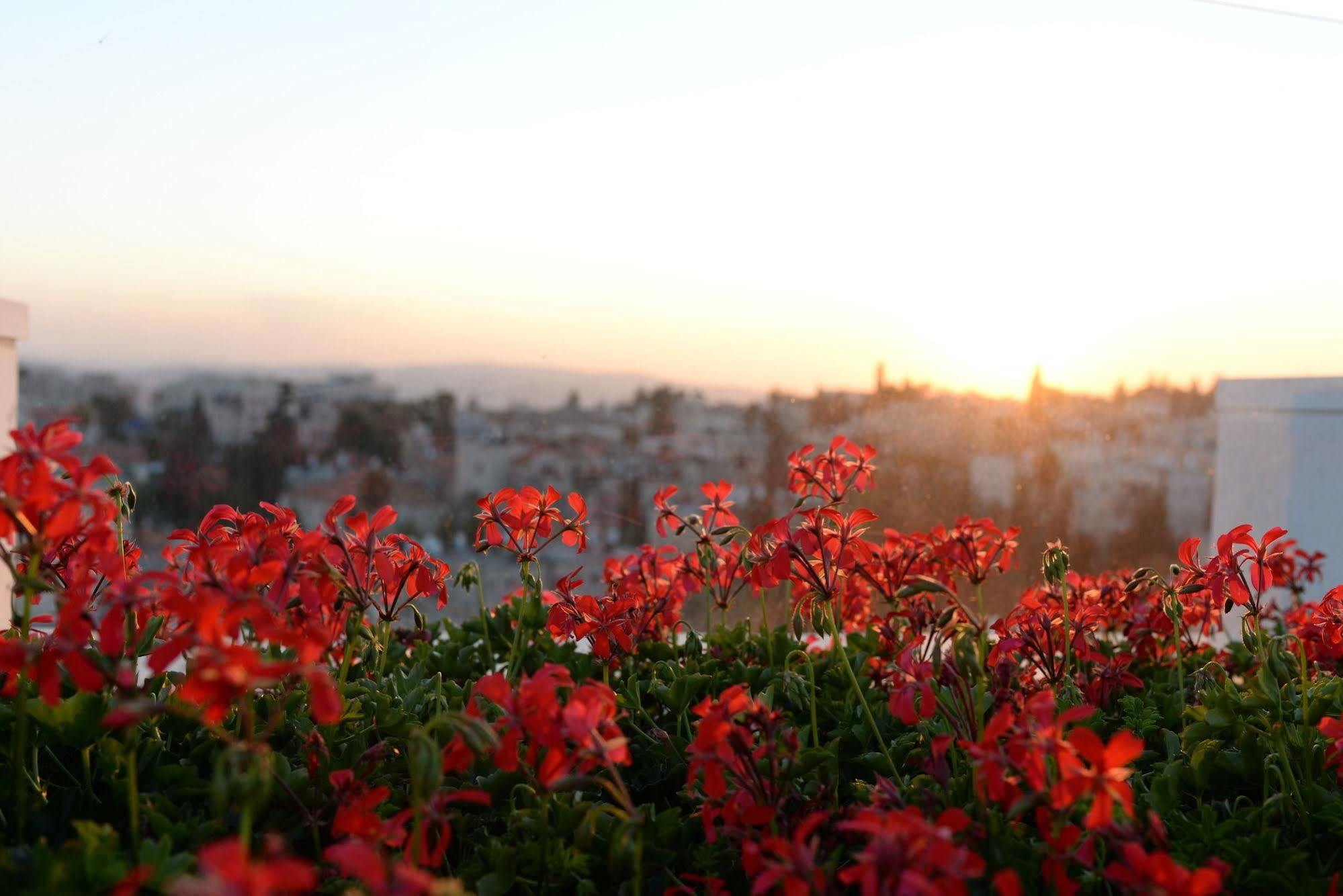 فندق بريما رويال القدس المظهر الخارجي الصورة